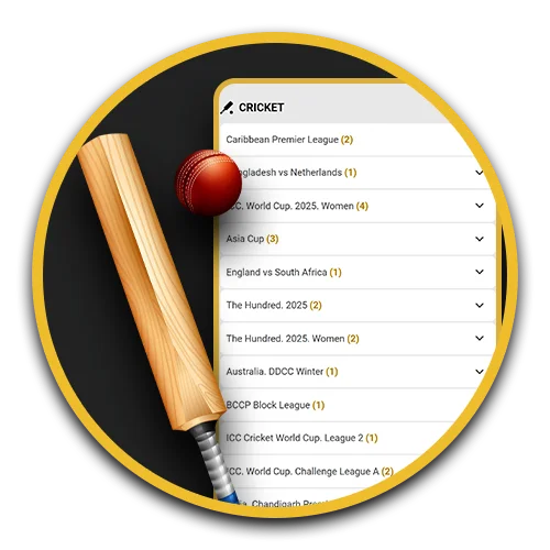 Top up your Melbet account and place bets on cricket.